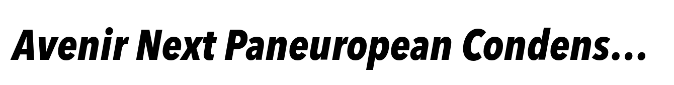 Avenir Next Paneuropean Condensed ExtraBold Italic